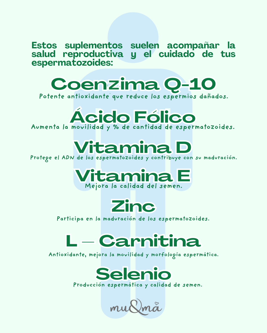 FERTIMEN — L-Carnitina + CoQ10 y VIT